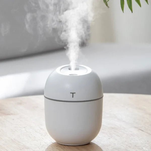 air-humidifier-usb-small-mini-portable-cool-mist-2_480x480_2x_4dc9ad48-0f8a-4885-a334-9deb69d73707